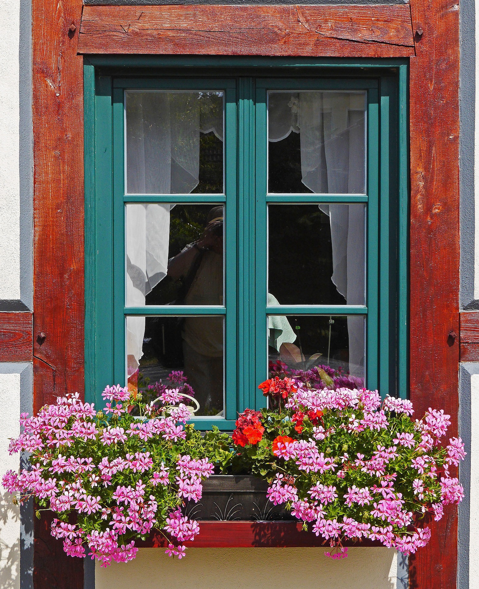 balcone verde fiori